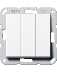 GIRA-284403