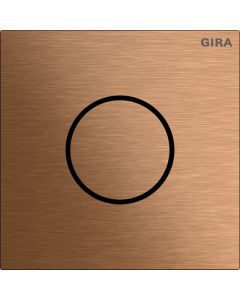GIRA-5563921